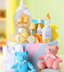New Arrival Baby Fundamentals for Baby Gift Basket!