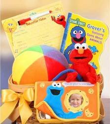 Sesame Street Friends For Baby Gift Basket