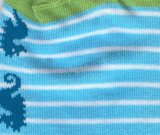 Body No. 1 : Sea Horses