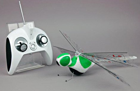 Dragon Fly