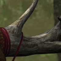 Wood Elves