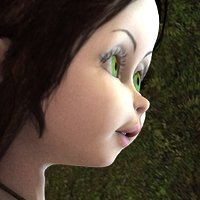 Flutter
