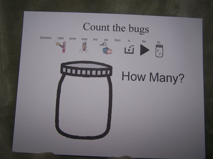 Count the bugs Autism Educational