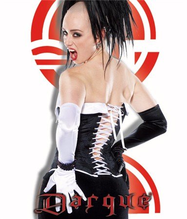 Darque Brocade Satin Lace Up Corset ~ Victorian