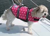 Dog Life Jacket in Pink Polka Dot