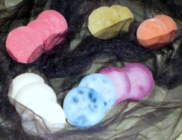 One Dozen of Soy Wax Tarts