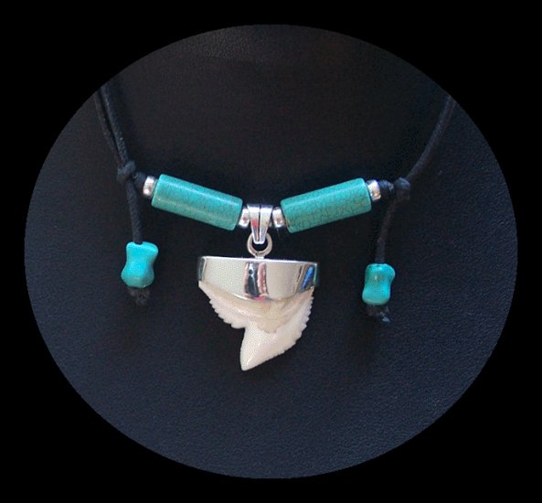 Shark Tooth Necklace with Turquoise & Silver