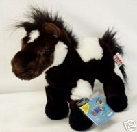 Pinto horse