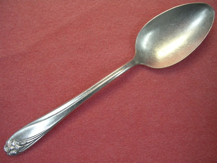 INTERNATIONAL 1847 ROGERS BROS DAFFODIL 5 O'CLOCK SPOON 1950 SILVERWARE FLATWARE