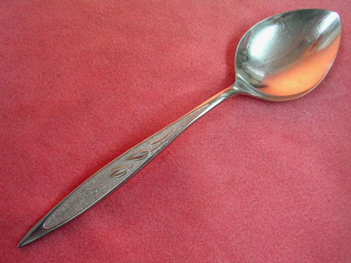 ONEIDA ltd WM A ROGERS ROYAL HARVEST PLACE SPOON PREMIER STAINLESS FLATWARE SILVERWARE