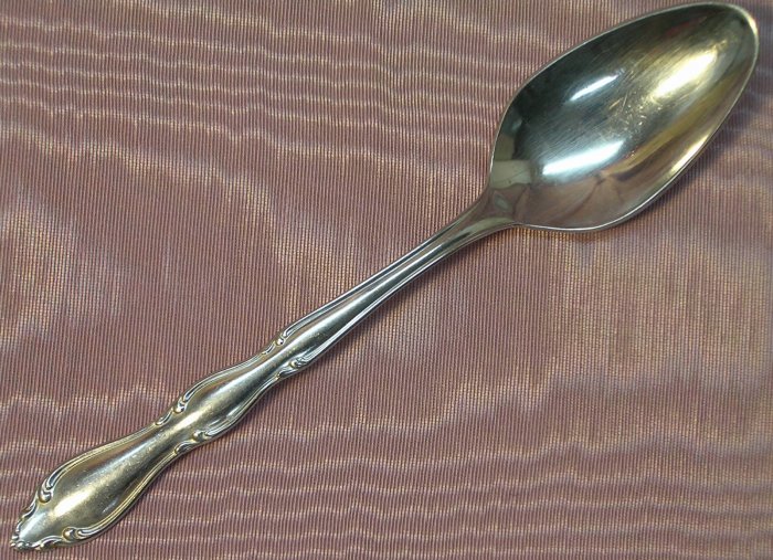 1847 ROGERS BROS ANNIVERSARY PLACE SPOON STAINLESS FLATWARE SILVERWARE