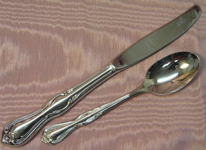 INTERNATIONAL SOUTHERN SPLENDOR PAVAN TEASPOON & PLACE KNIFE INSICO STAINLESS FLATWARE SILVERWARE