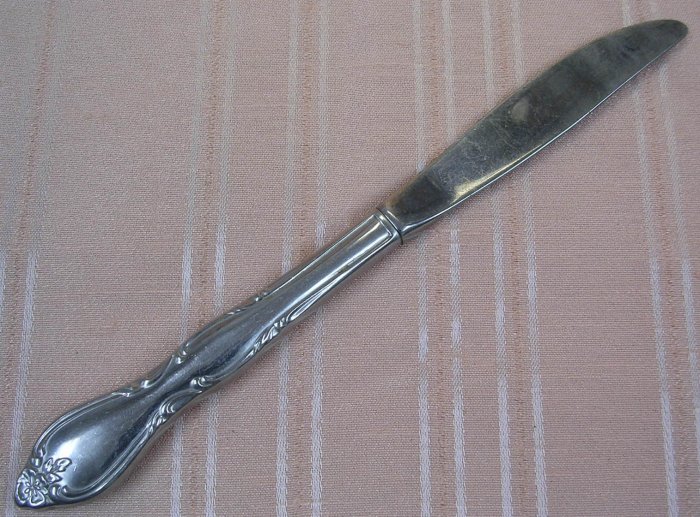 ONEIDA LTD WM A ROGERS MONTCLAIR PLACE KNIFE STAINLESS FLATWARE SILVERWARE