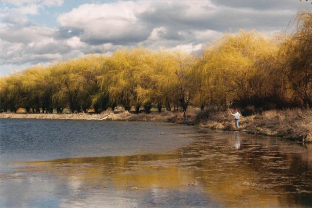 'Fishing' 8" x 12" print