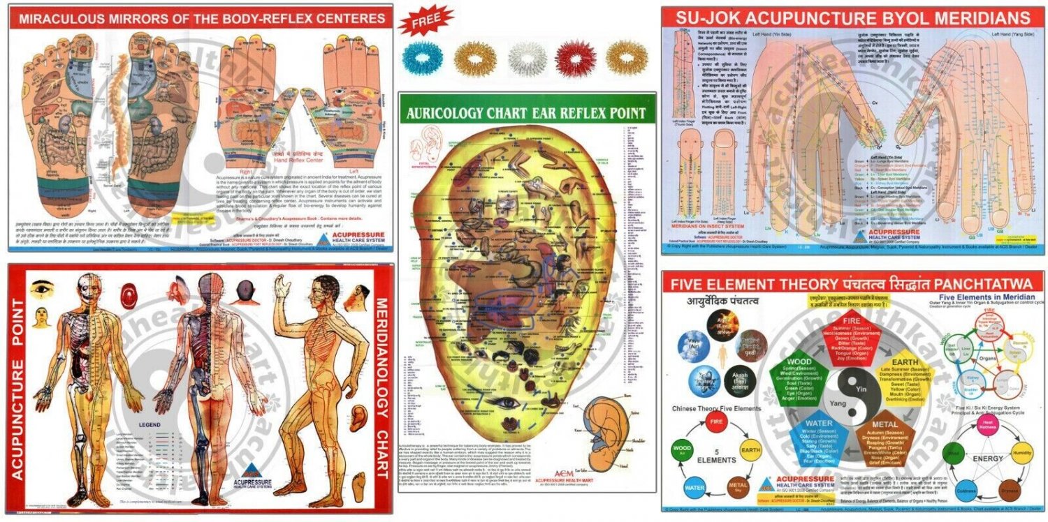 Acupressure Reflex Acupuncture Sujok Element Ear Charts Set Of 5