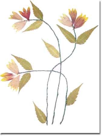 Handmade Paper Cards Set - GC13(10 Cards)