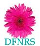 Day Skin Nutrition and Recovery System (DFNRS)