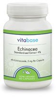 Echinacea