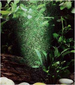 Ario 4 Color Venturi Submersible Air Pump Green