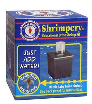 Brine Shrimp Shrimpery