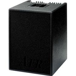 AER Basic Performer Acoustic Guitar Combo Amp