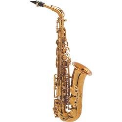 Selmer Paris Flamingo Standard Alto Sax