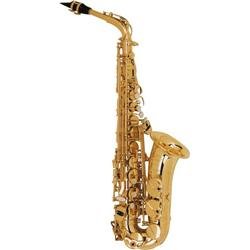 Selmer Paris Series III Model 62 Professional Alto Saxophone