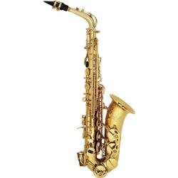 Prelude Alto Saxophone Outfit