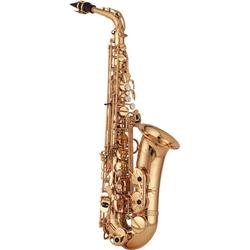 Yanagisawa Model A-901 Artist Alto Sax