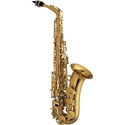 Amati AAS 32 Student Alto Sax Outfit