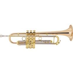 Conn Vintage One 1 BR Bb Trumpet with Rose Rose Brass Bell Outfit