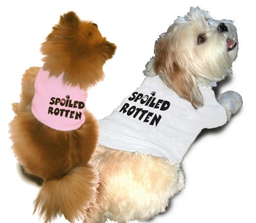 Ruff Ruff and Meow doggie tee- Spoiled rotten