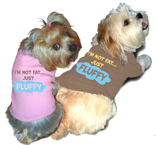 Ruff Ruff and Meow doggie tee-I'm not fat just fluffy