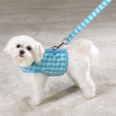 Madras Plaid Harness & Lead