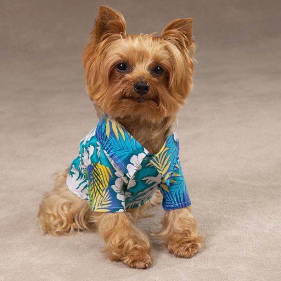 Tropical Camp Shirt