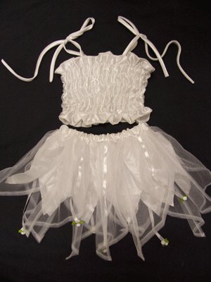 Girls Fairy Dress 2 piece