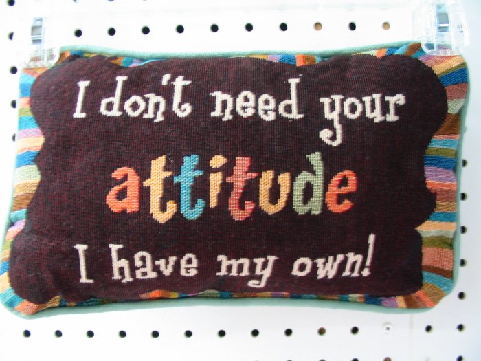 Pillow-Attitude