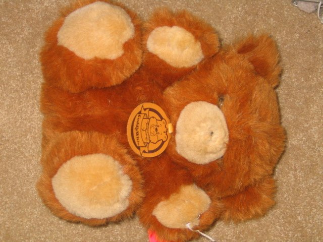 Teddy Bear