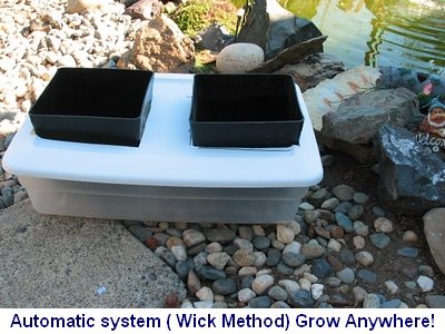 Auto Pot Style Hydroponic Plans