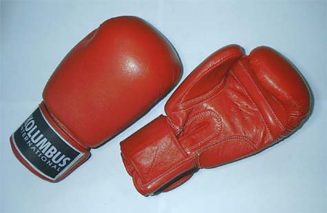 BOXING GLOVE 10 oz RED