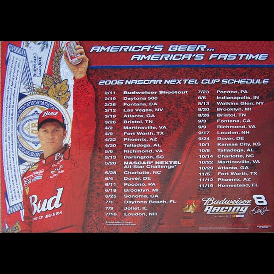 Dale Earnhardt Jr 2006 Poster