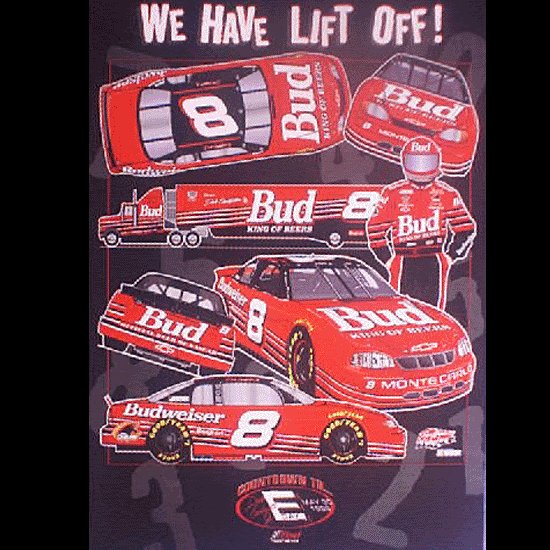 Dale Jr Bud Poster