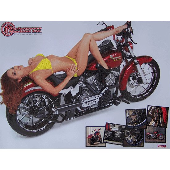Performance Machine 2008 Biker Posters
