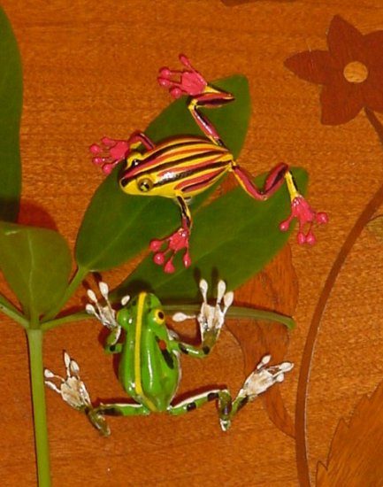 Handpainted tree frogs