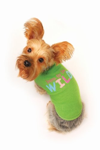 Born To Be Wild