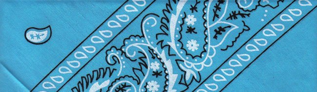 Blue Paisley - Med