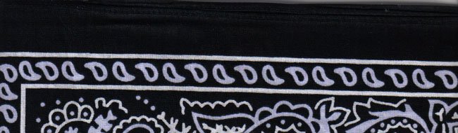 Black Paisley - Large