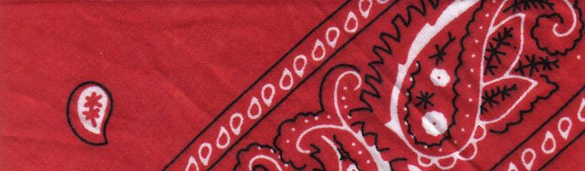 Red Paisley - Large