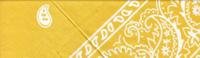 Yellow Paisley - Large