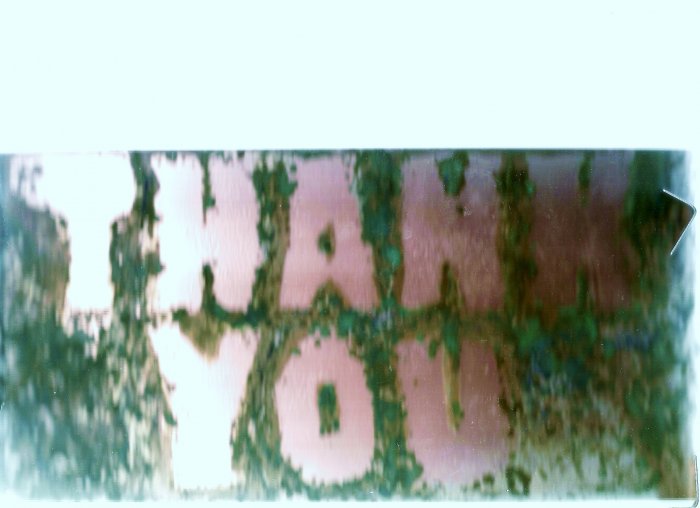 Copper THANK YOU sign 6" x 12"